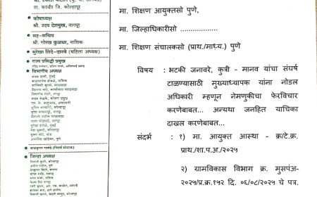 "Teachers build society, they don't count dogs"