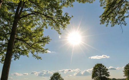 Summer fever; Take care of your health like this