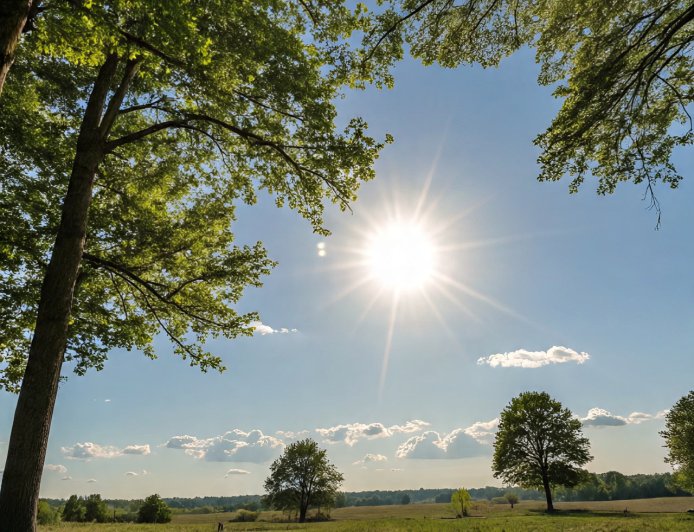 Summer fever; Take care of your health like this