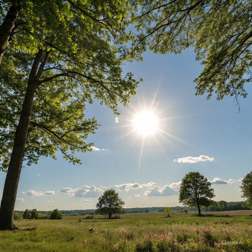 Summer fever; Take care of your health like this